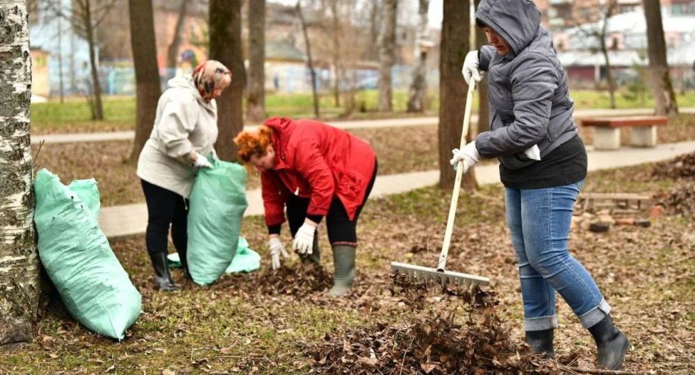 В Ярославле определились с датой первого субботника