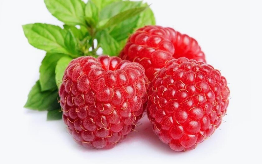 Малина - весенняя подкормка: как разбудить кусты и получить крупные сладкие ягоды