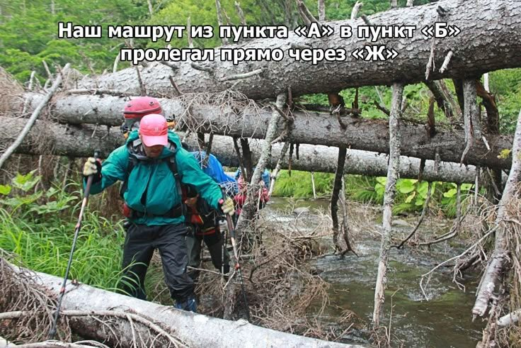 Приколы в путешествиях: 15 картинок про туристов для поднятия настроения