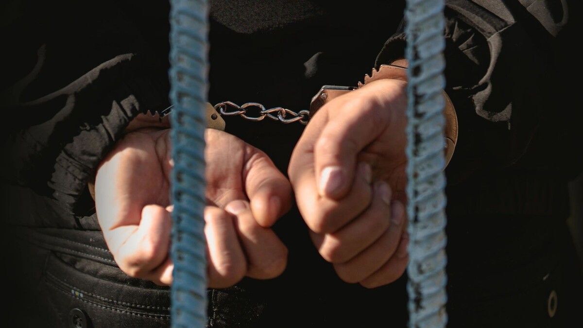    Фото: Melnikov Dmitriy/Shutterstock/Fotodom