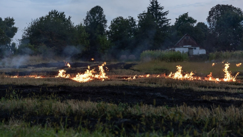    Фото: сайт freepik.com