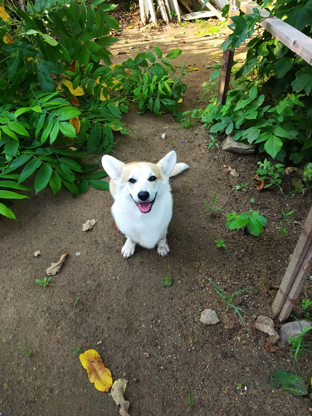 Фото из личного архива