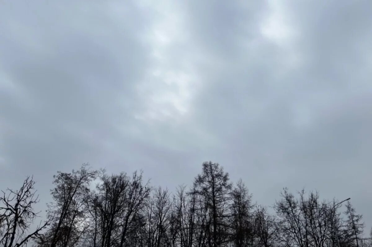    В Туле 2 апреля ожидается пятибалльная магнитная буря и дождь