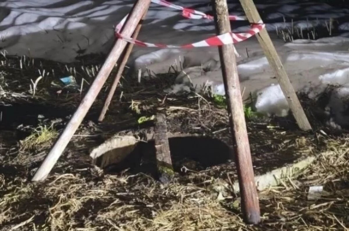    Во Владимирской области 8-летняя девочка упала в глубокий колодец