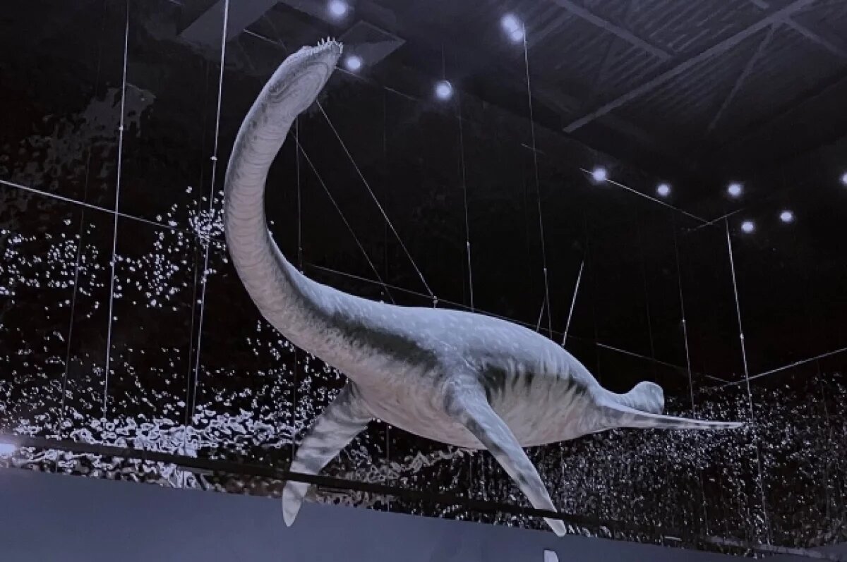    Обитатели Ундоровского палеонтологического музея занимают места в экспозиции нового здания.