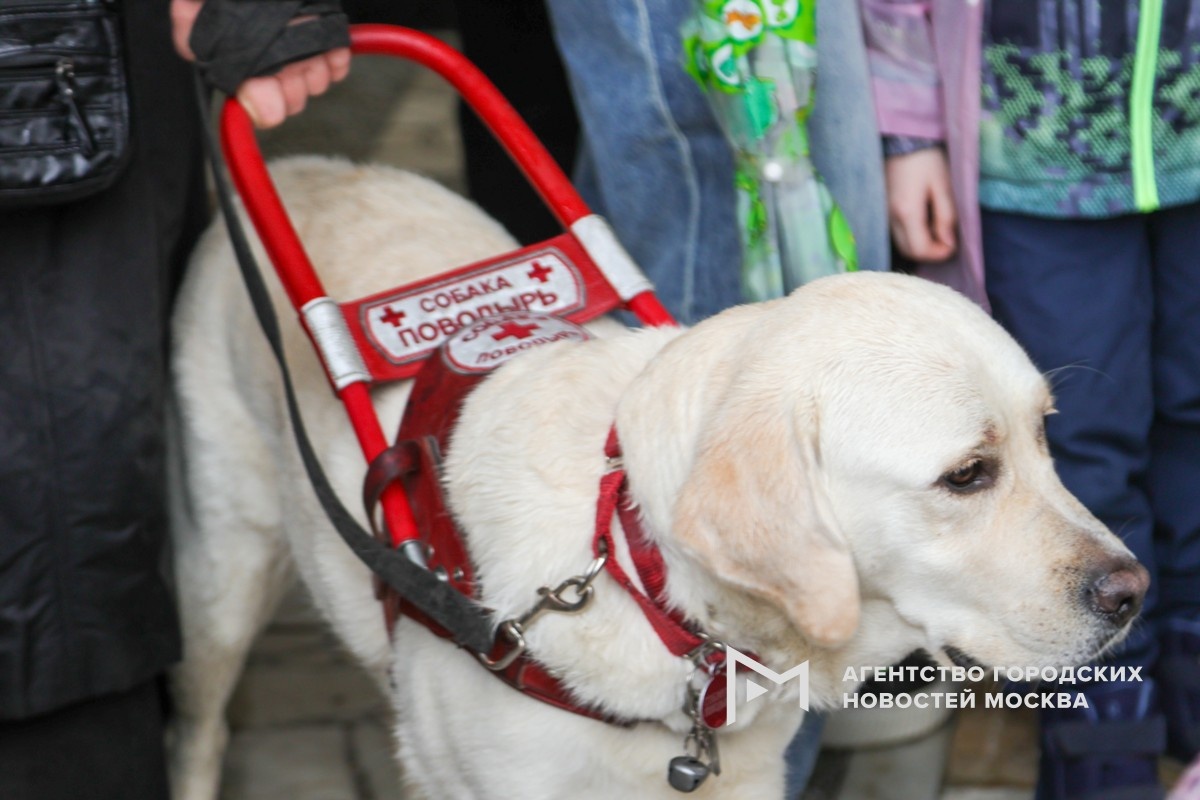 Фотограф: Дмитрий Белицкий