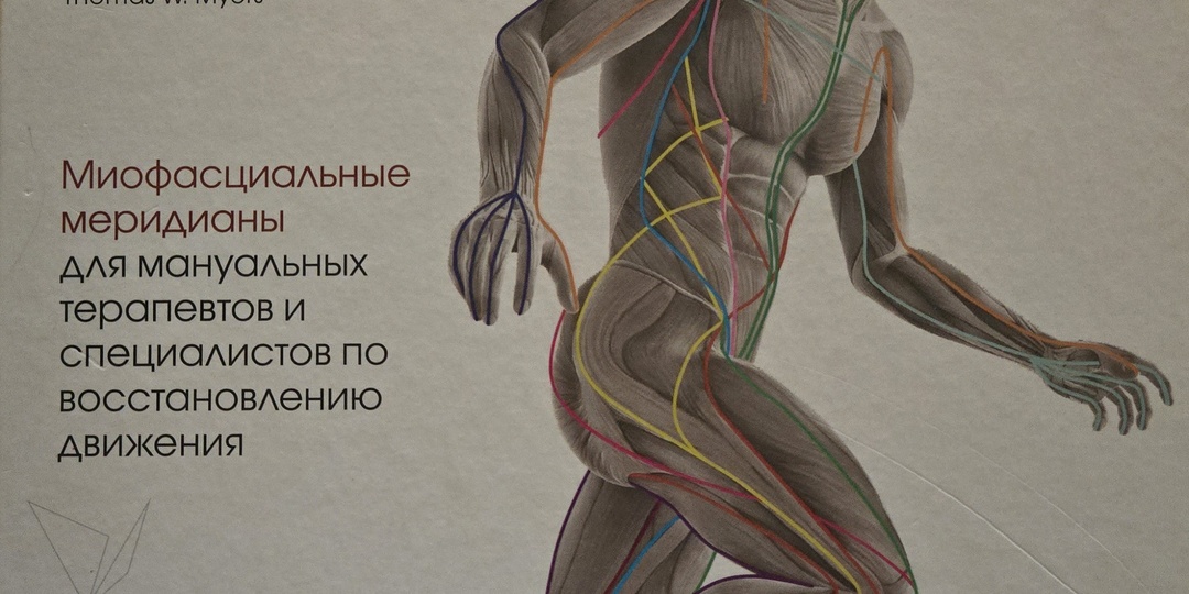 Концепция анатомических поездов Томаса Майерса. Почему её активно используют в сфере пилатеса, а также в массаже и остеопатии?