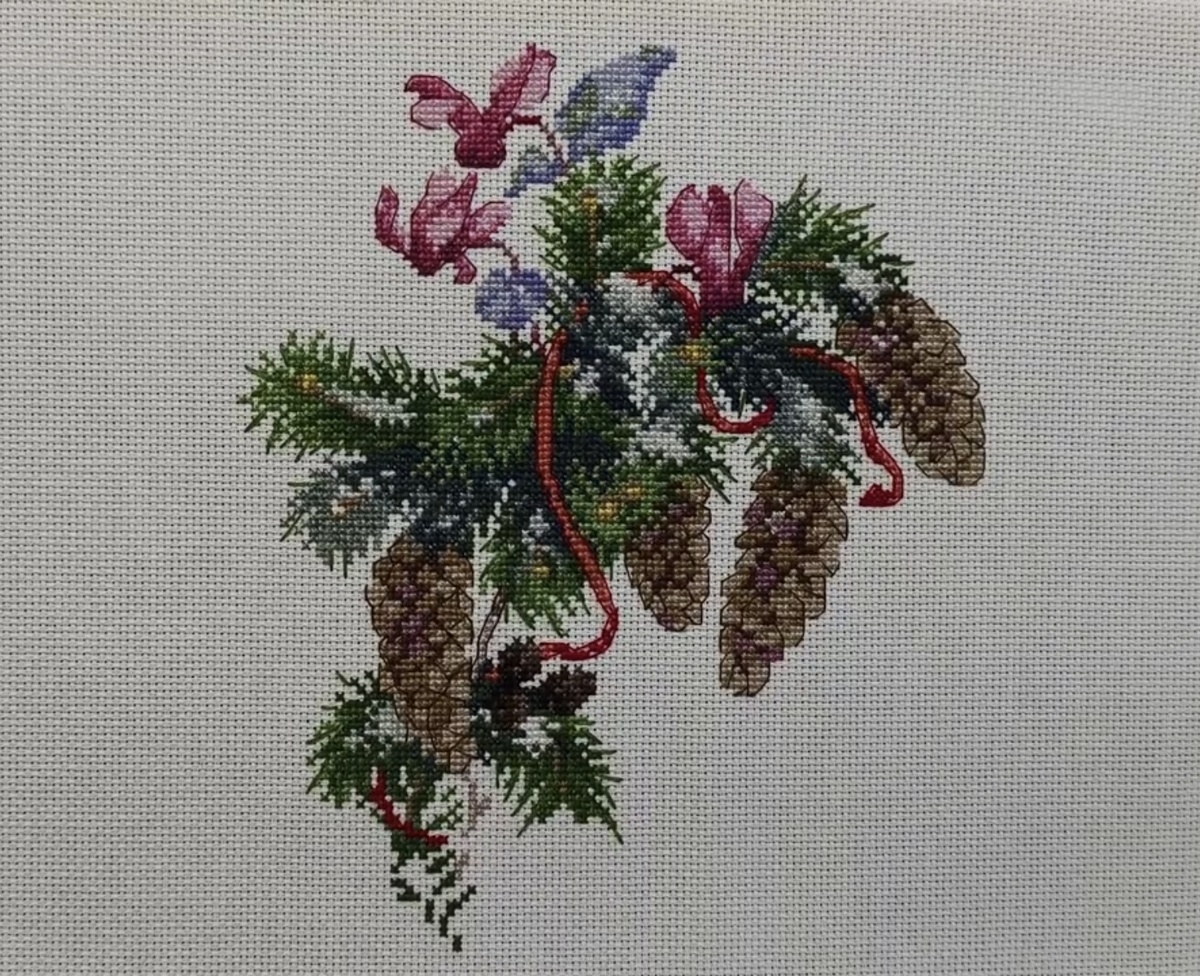 Овен "Рождественская звезда". Фото автора