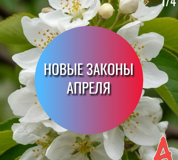 Новые законы апреля