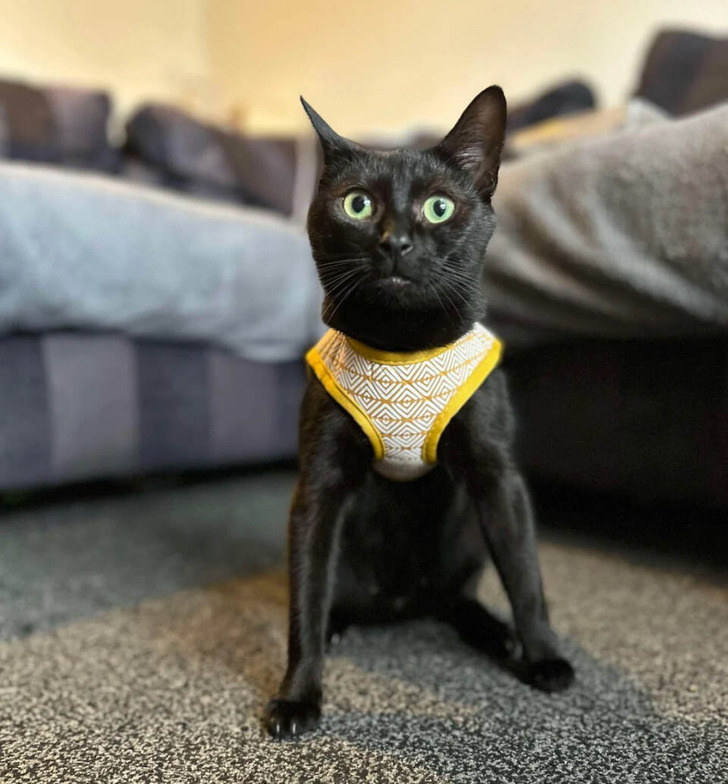 © Embarrassed-King7840