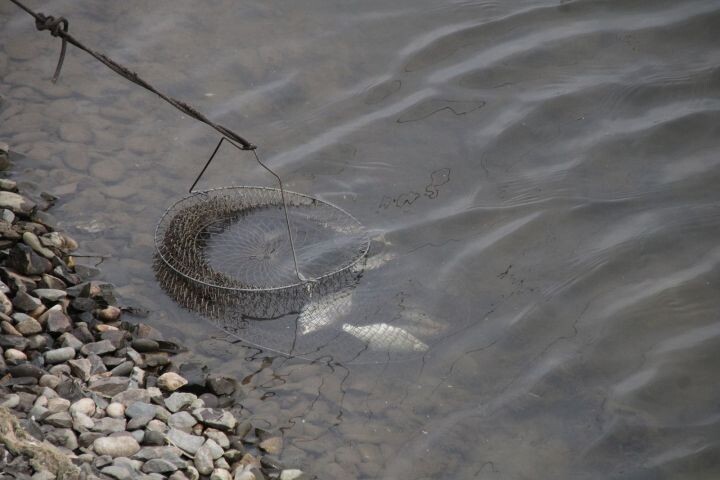 Ограничения на рыбалку вводятся с 1 апреля в Астраханской области