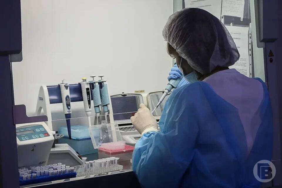    Фото: Дмитрий Рогулин / "Городские вести"