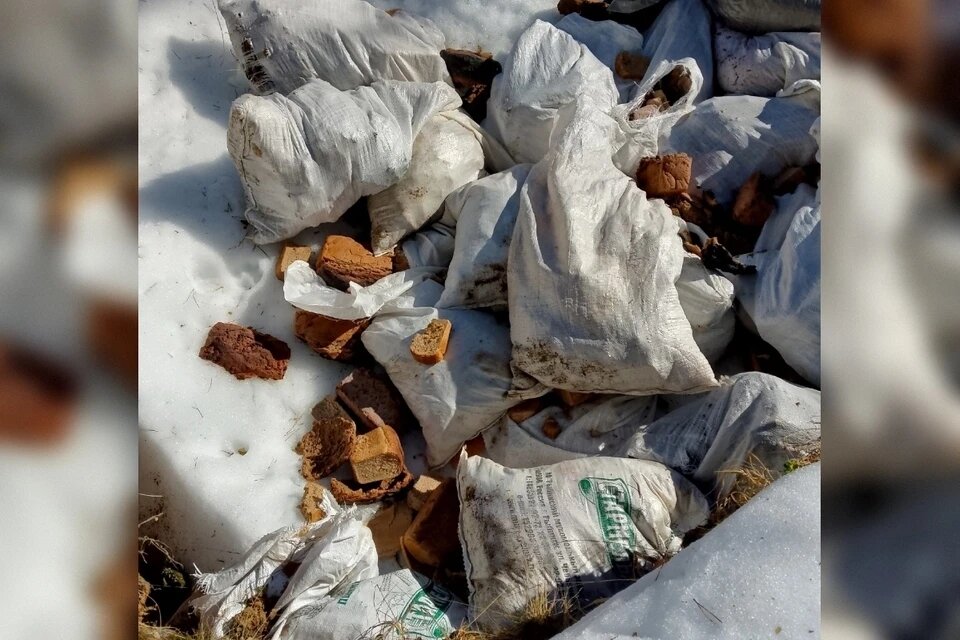 фото: vk.com/vasilmih