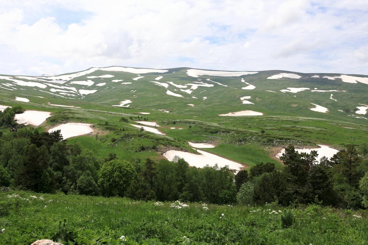 Вид на альпийские луга плато Лаго-Наки