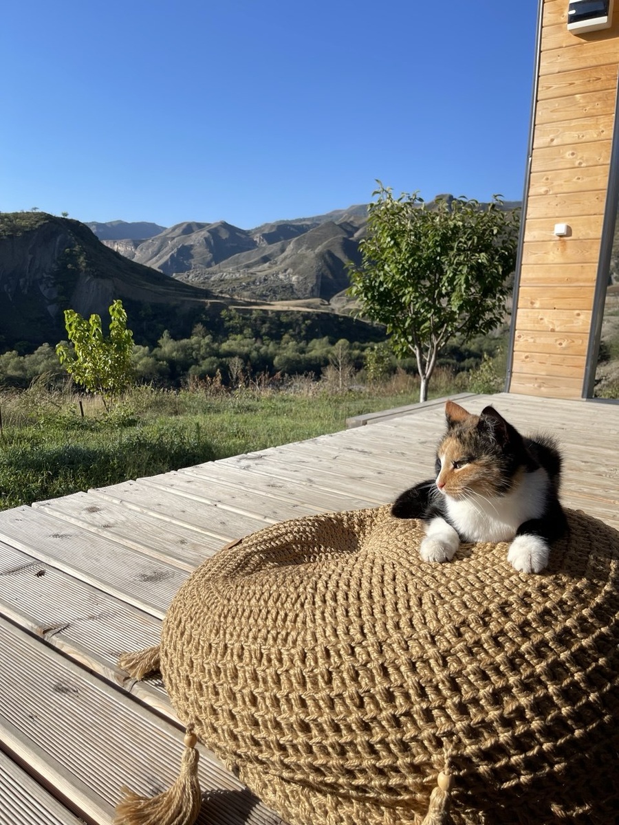 Автор фото: Анастасия Еремина