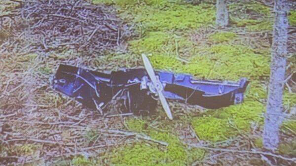    © REUTERS / Sasu Jarnstedt