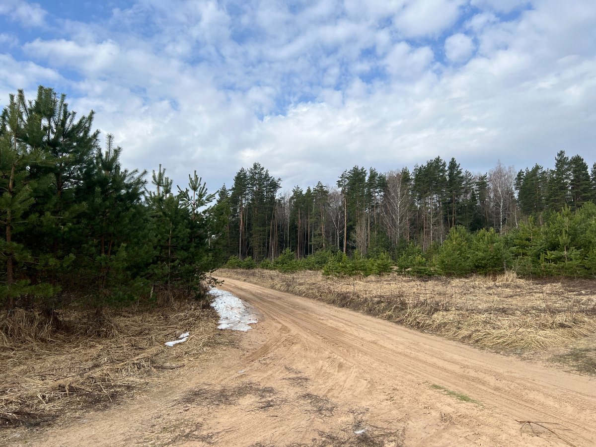 Фото автора. 01.04.26