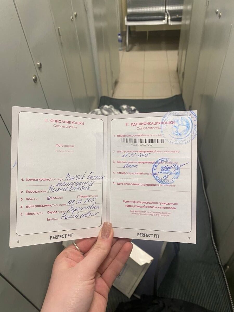 Фото: телеканал РОССИЯ 1