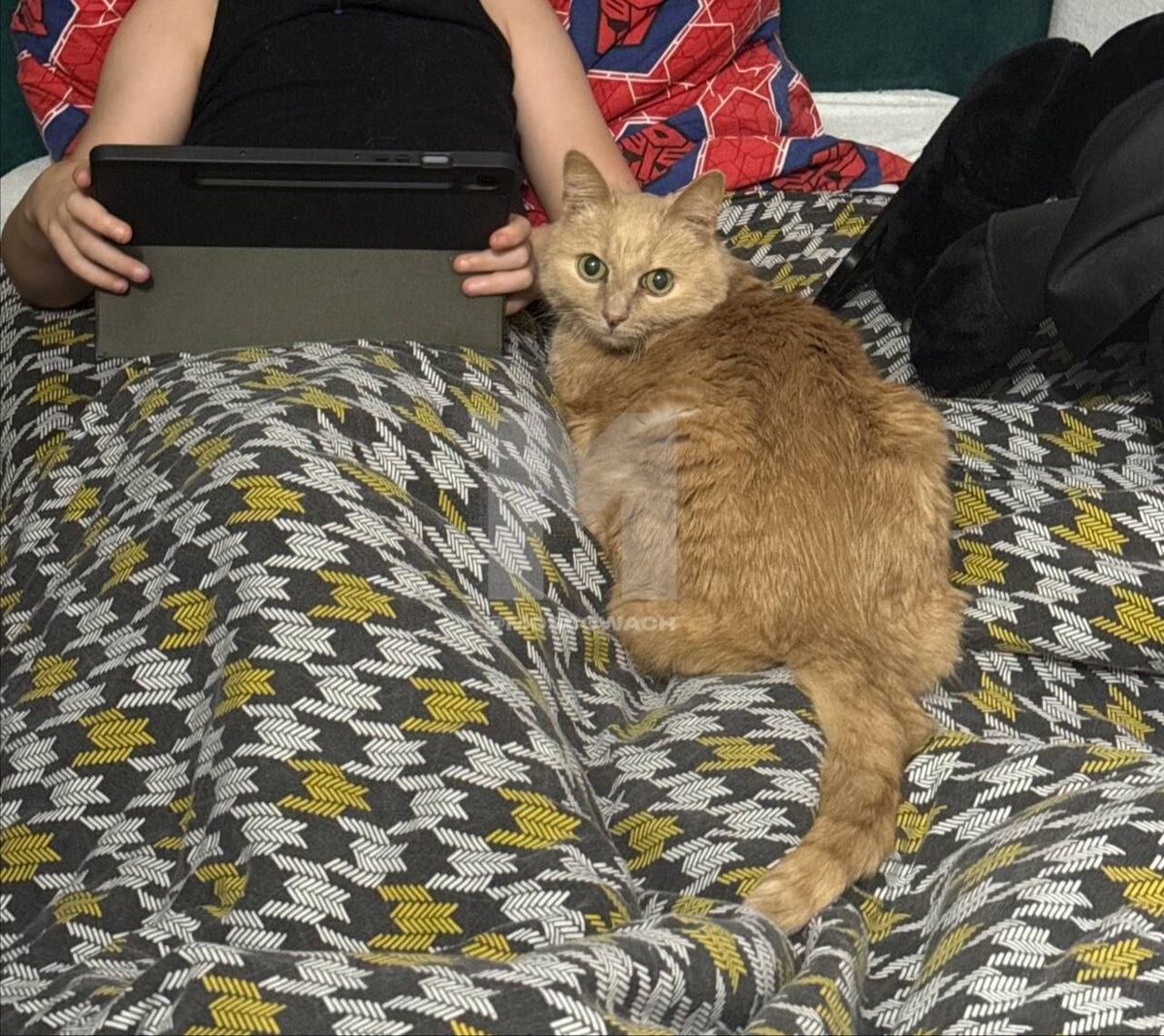 Фото: телеканал РОССИЯ 1