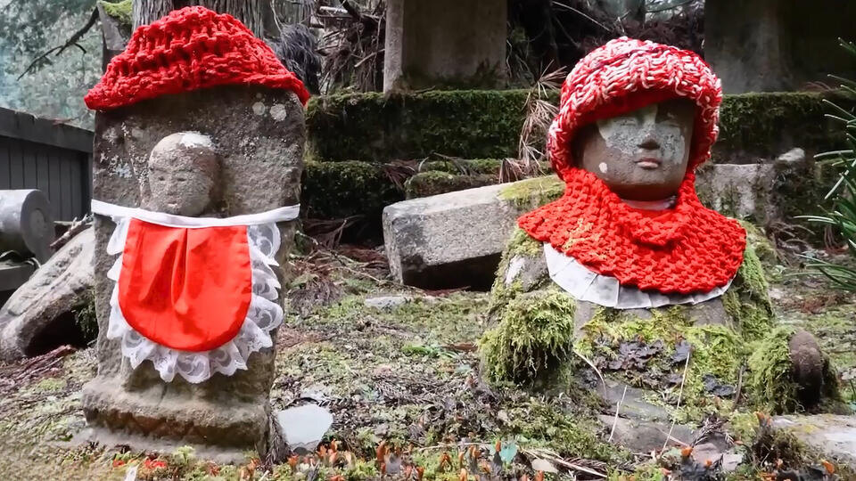 Фото: © Кадр программы "Невероятно интересные истории", РЕН ТВ