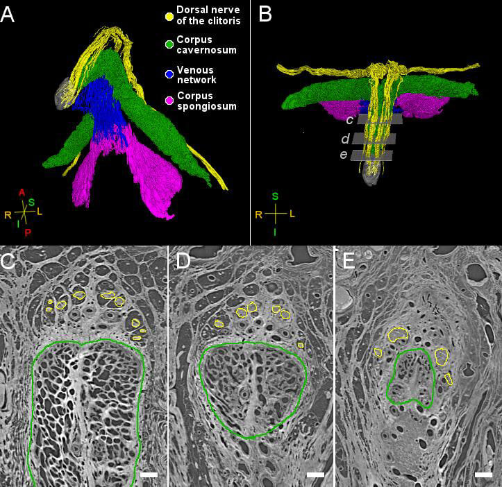   Ju Young Lee et al. / bioRxiv