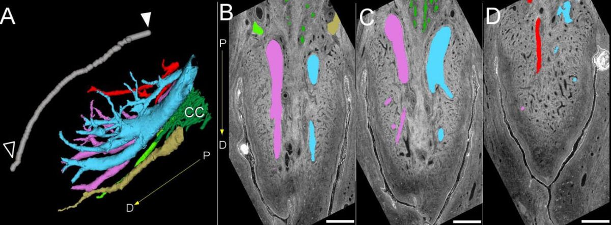   Ju Young Lee et al. / bioRxiv