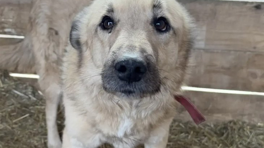    Фото: ГУ МВД по Иркутской области