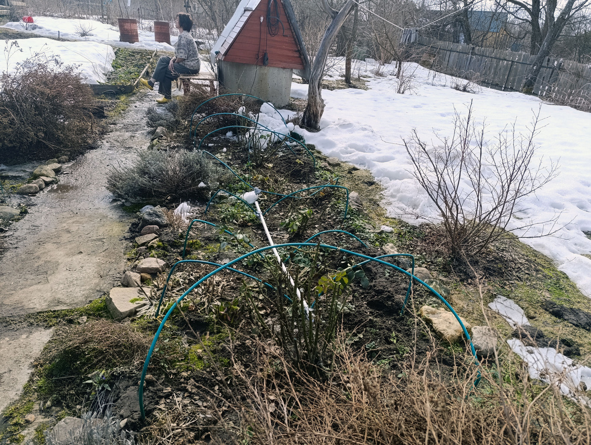 Весна. Моя жена нежится на солнышке