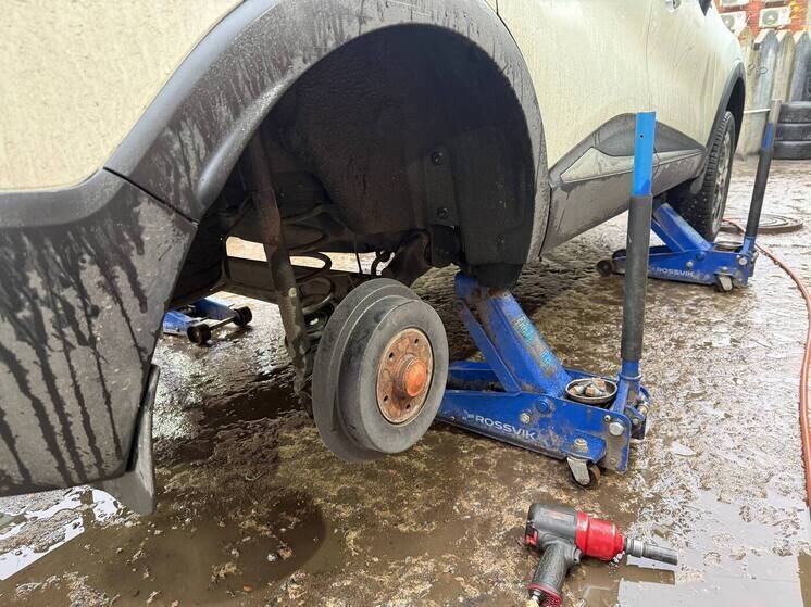     Фото: архив МК в Питере