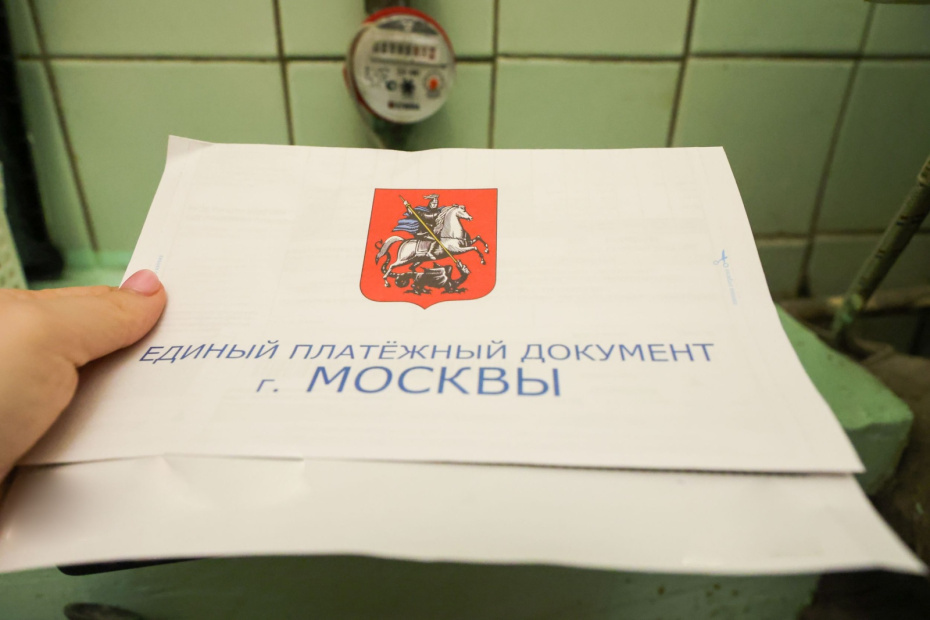    Наталья Шатохина/NEWS.ru