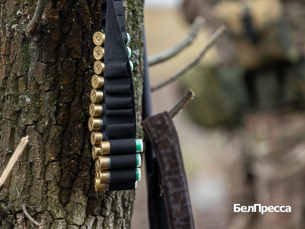     Фото: Алексей Дацковский (архив)