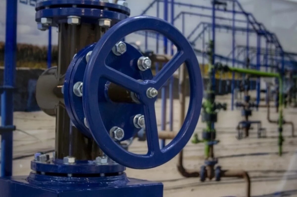    Импорт газа Украиной упал до минимума из-за высоких цен в Европе