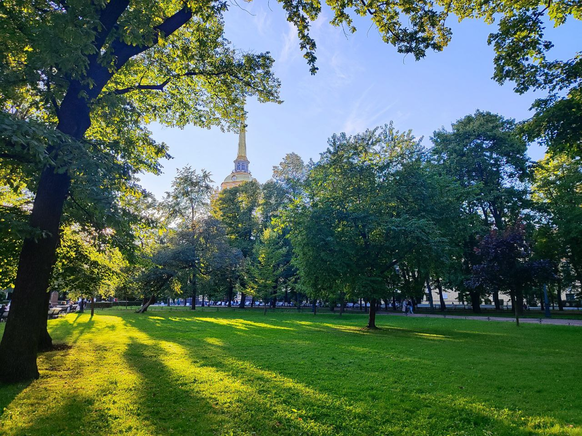 Фото автора.