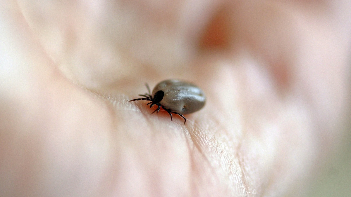 Фото: pxhere.com