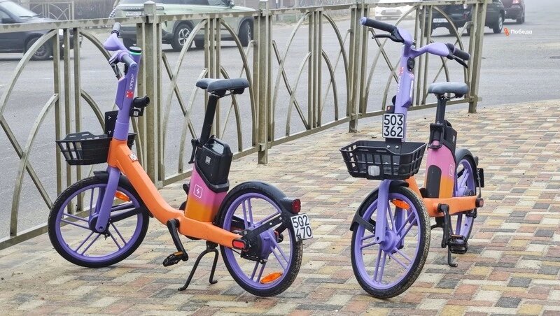      Фото: ИА «Победа26»