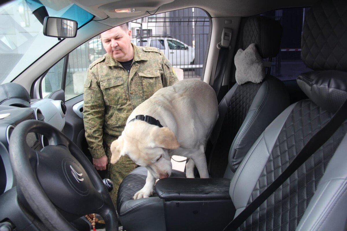    Карельская таможня