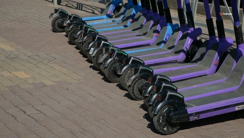      Фото: Валерия Алтухова / / ИА «Победа26»