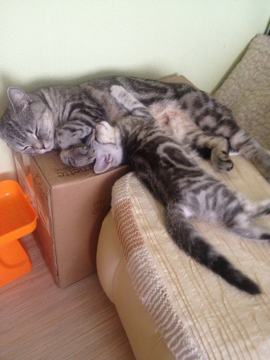 Буська в детстве  