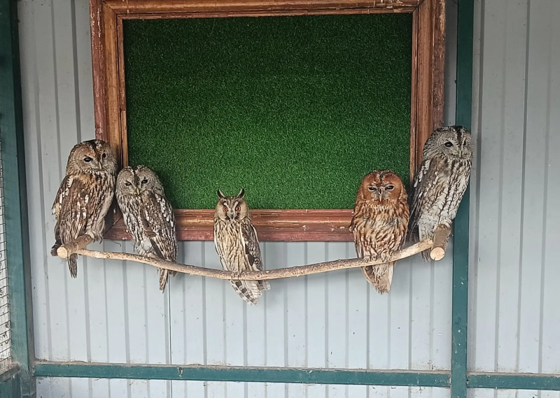     © фото - тг-канал Игоря Корпункова