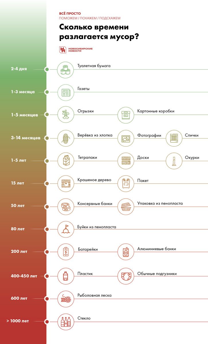    Инфографика: nsknews.info
