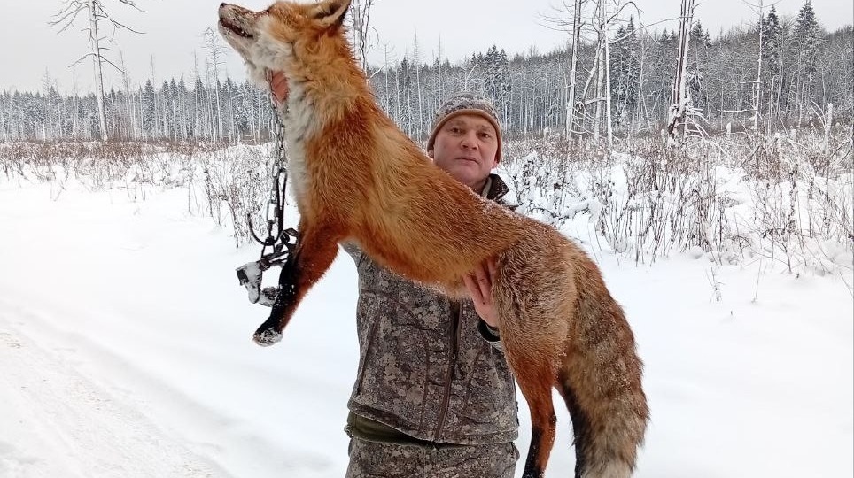Попробуй такого поймай