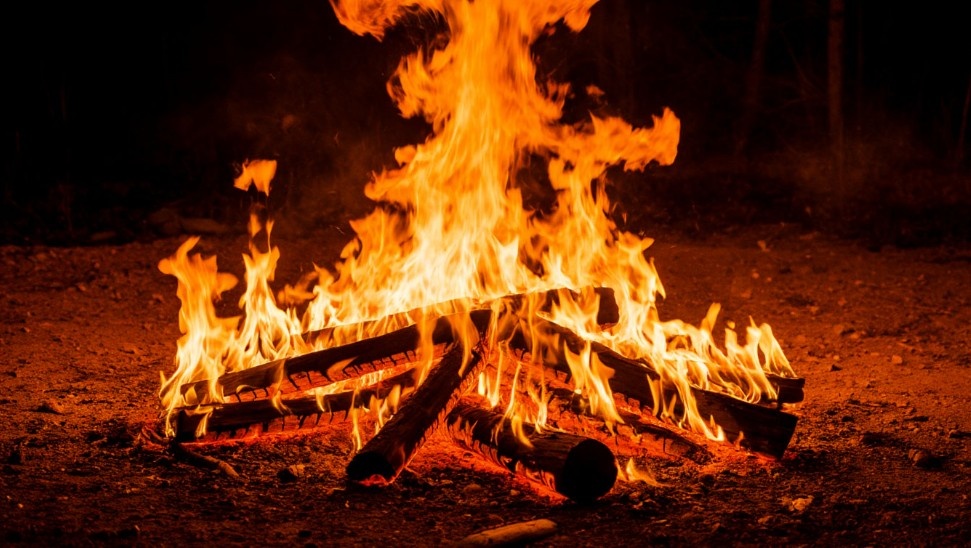    Пожар на заливных лугах в Архангельской области потушили за несколько часов