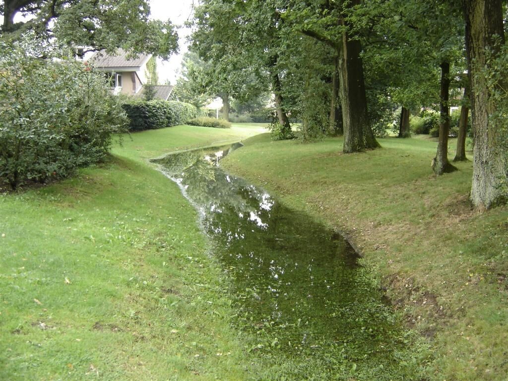 Отнеситесь внимательно к участку и оцените движение воды по рельефу