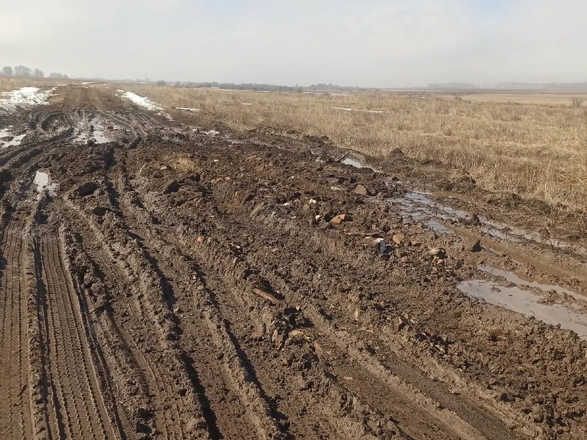     На этой дороге к челябинскому поселку можно устраивать только состязания внедорожников