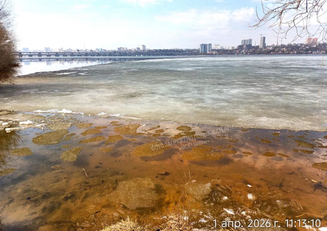    Фото: читатель «МОЁ!»