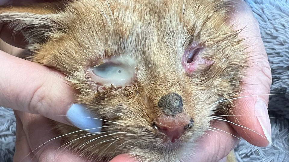 Результаты лечения вас удивят!