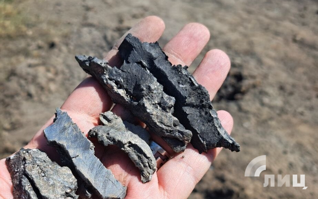    Фото: Луганский Информационный Центр