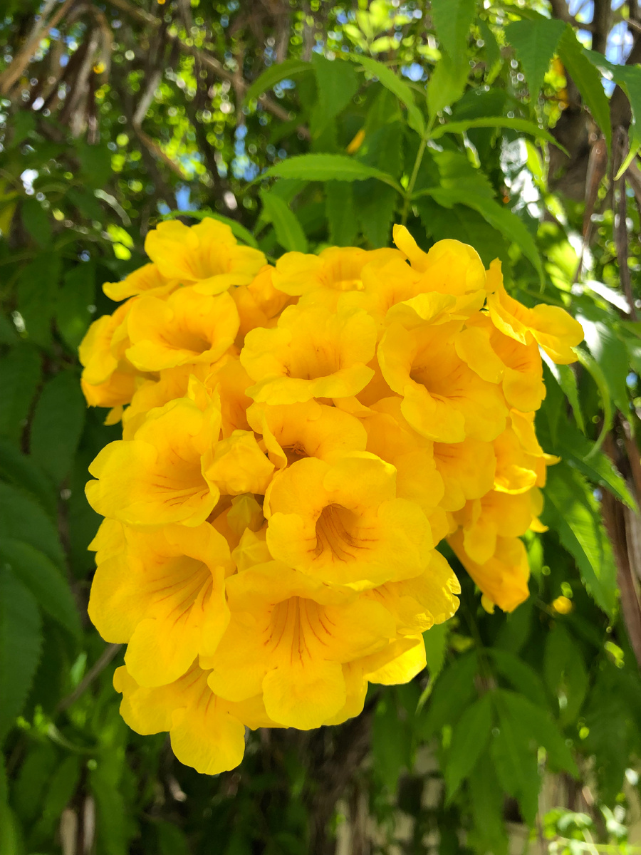 Лучшее где там, впереди...