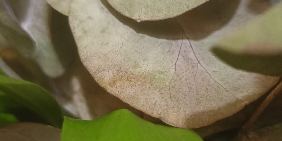 Ср. 01.04.26 г. Выходной от поездок. Ленивый борщ и окрошка. Спокойствие.