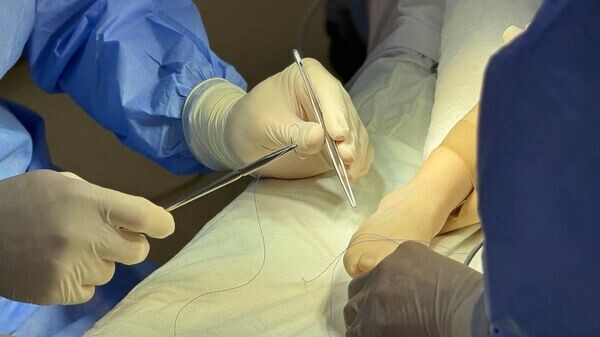    © Sputnik / Аманда Томаева